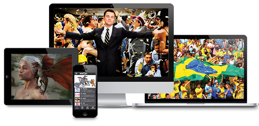 اشتراكات IPTV بالجملة